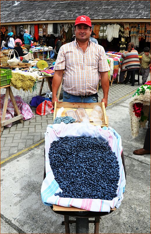 Castro - Dalahuie market 3